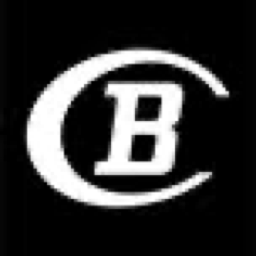 Bauknecht BBO 3O41 PLT logo