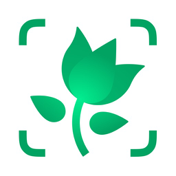 PictureThis logo