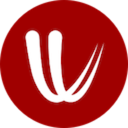Windy logo